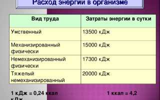 Расходование энергии в организме и влияющие на это факторы: ключевые аспекты и исследования