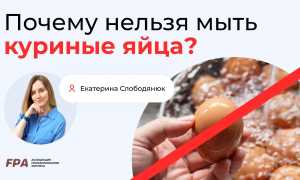 Можно ли мыть яйца перед хранением или нет: советы и рекомендации