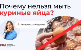 Можно ли мыть яйца перед хранением или нет: советы и рекомендации