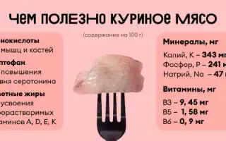 Как правильно выбрать куриное мясо? Полезные советы и рекомендации