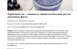 Черника: влияние на организм и факторы риска для здоровья