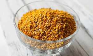 Польза и вред пчелиной пыльцы для здоровья человека