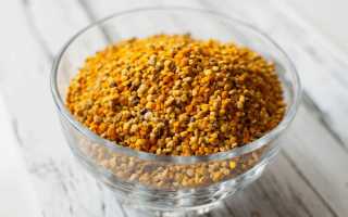 Польза и вред пчелиной пыльцы для здоровья человека