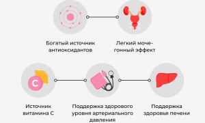 Польза и вред чая каркаде для здоровья
