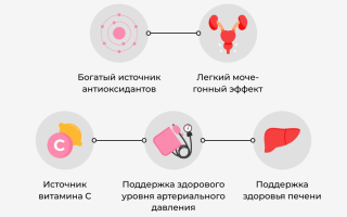 Польза и вред чая каркаде для здоровья
