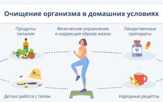 Детокс организма: правда, мифы и эффективные методы очищения для здоровья и благополучия | Женский журнал