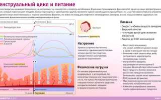 Как питание влияет на фазы менструального цикла? Полезные советы