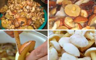 Супы из маслят: рецепты из свежих и замороженных грибов