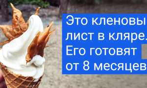 Какие деликатесы могут шокировать даже искушенного гурмана: удивительные вкусовые открытия