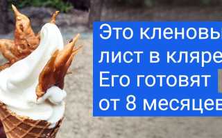 Какие деликатесы могут шокировать даже искушенного гурмана: удивительные вкусовые открытия