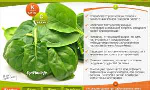 Шпинат: 29 полезных свойств и 9 вредных для здоровья