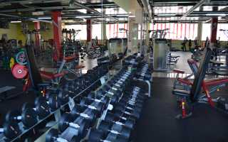 Как найти идеальный зал для тренировок в Красноярске: советы и рекомендации