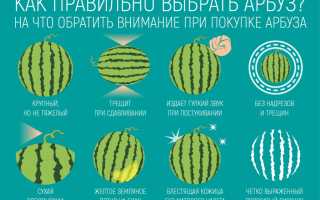 Как выбрать вкусный арбуз и сэкономить при покупке в жаркий сезон