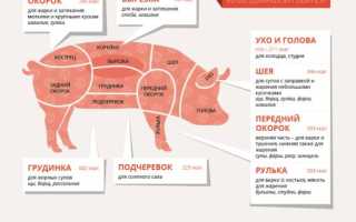 Как правильно выбрать свинину для приготовления?