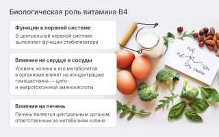 Витамин B4 (Холин) и его польза для здоровья