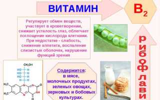 Витамин B2 (рибофлавин) и его польза для здоровья