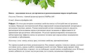 Польза и вред кинзы для здоровья человека