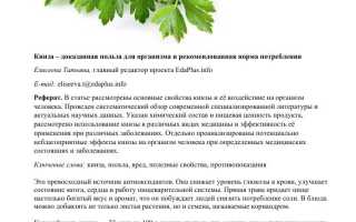 Польза и вред кинзы для здоровья человека