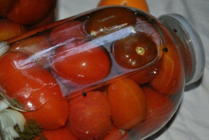 Как заквасить помидоры в ведре, бочке, кастрюле и банке