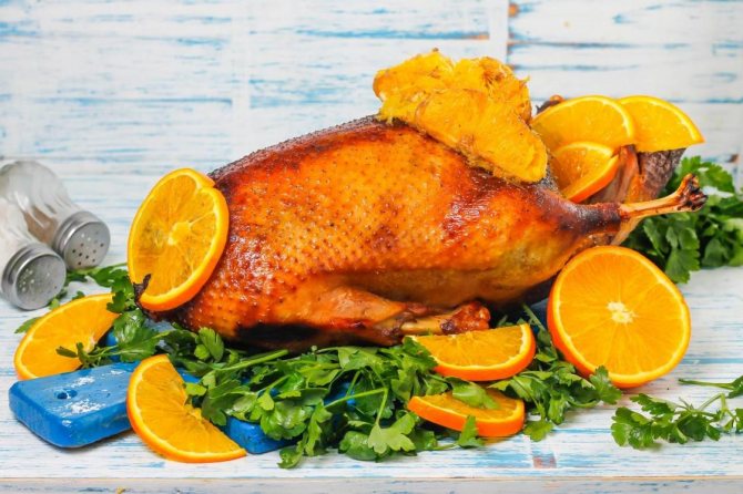 Как замариновать гуся, чтобы мясо было мягким