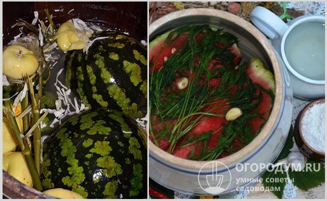 Лучшей тарой для засолки арбузов считаются деревянные бочки или керамические кадушки, но для хранения таких заготовок требуется подходящее холодное место