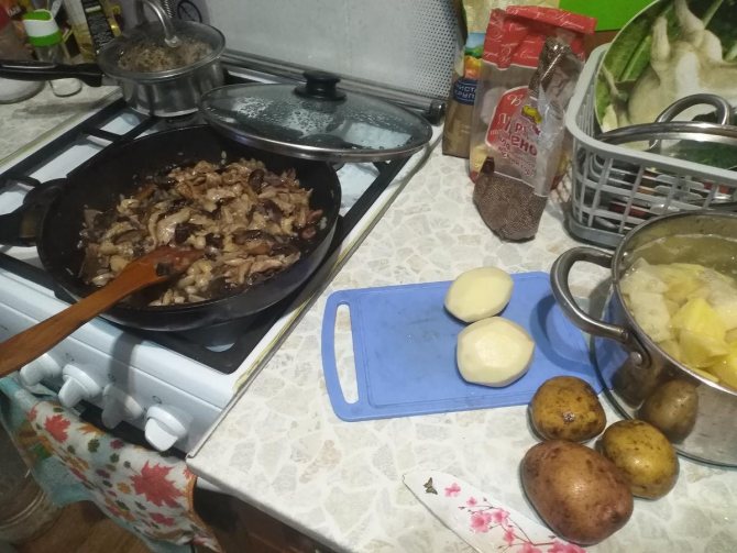 Рецепты блюд из тополиной рядовки