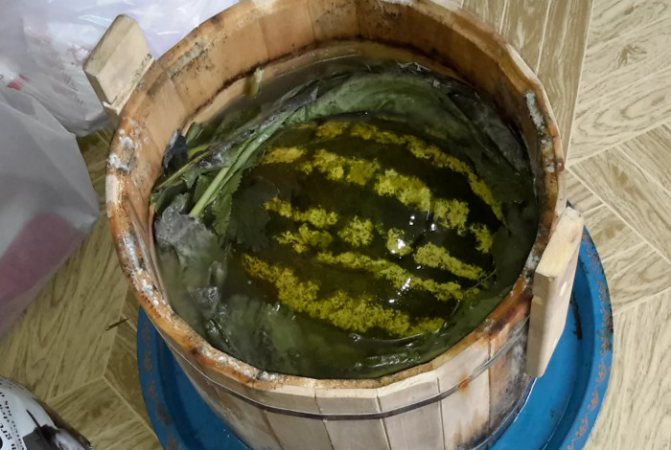 Солим арбузы в бочке на зиму целыми