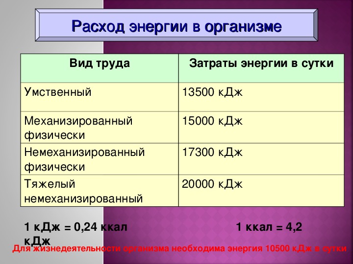 Основной обмен: что это такое и от чего он зависит