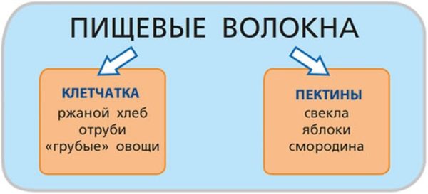 Функции пищевых волокон