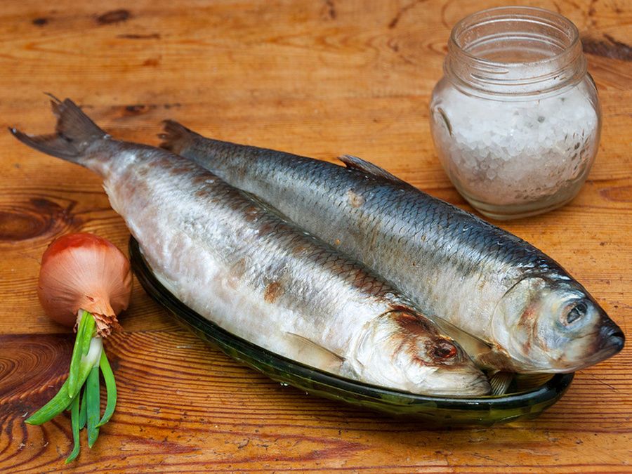 как сохранить соленую селедку в домашних условиях