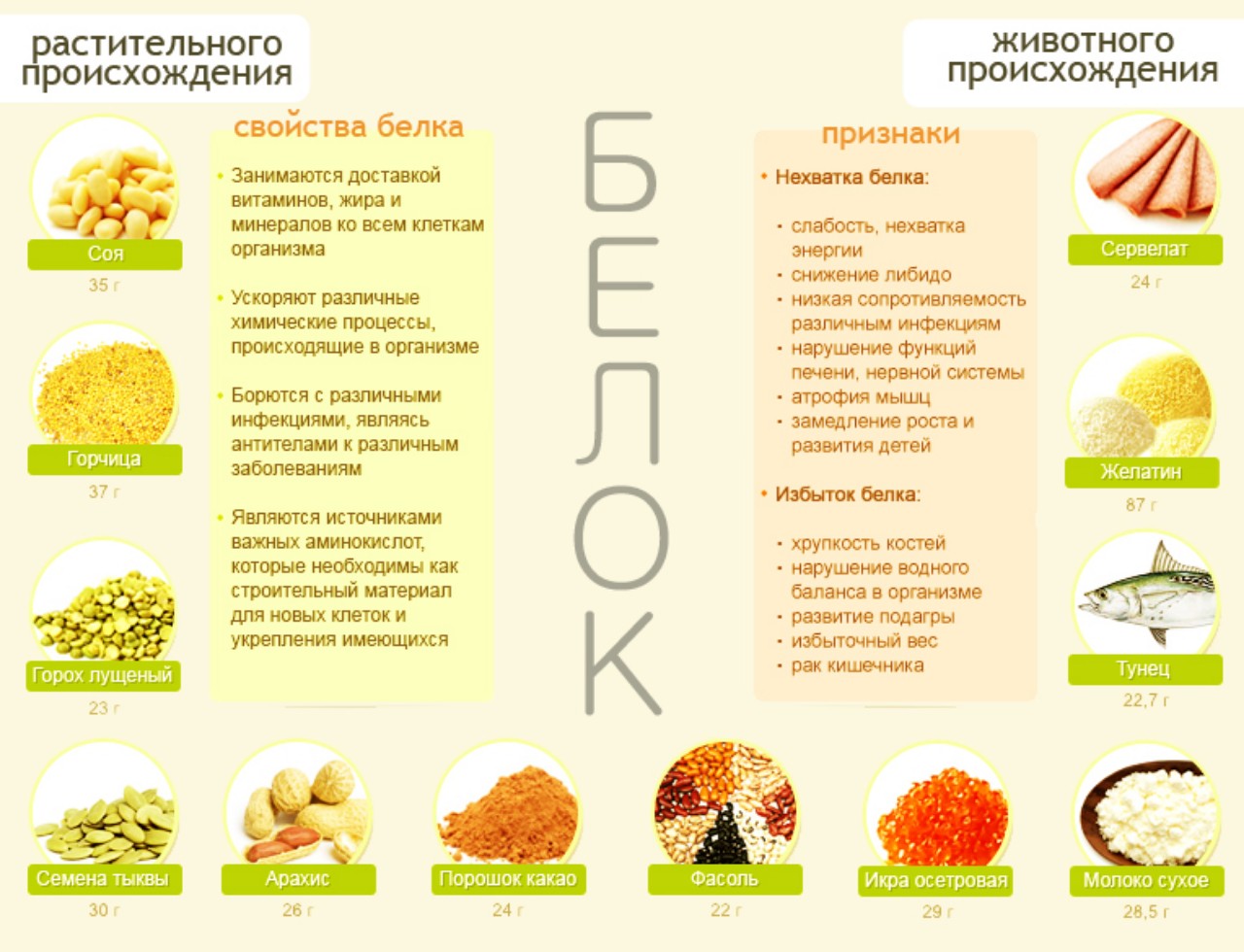 Белок растительного и животного происхождения
Белковые продукты