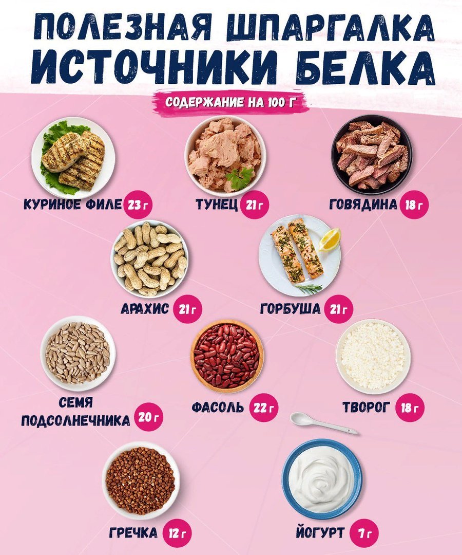 Источники белка
Белковые продукты