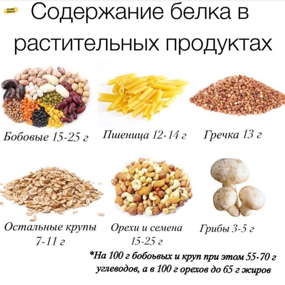 Содержание белка в растительных продуктах
Белковые продукты