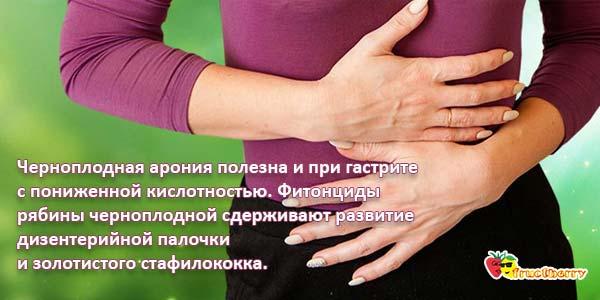 Арония черноплодная при гастрите