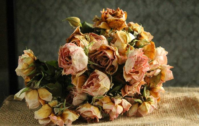 Букет из засушенных роз Букет из роз