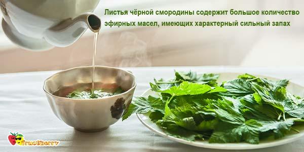 Чай из листьев черной смородины