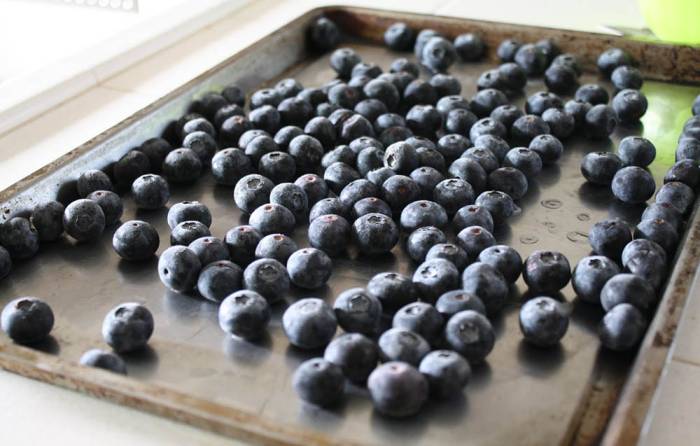 Сушка черники на солнце Черника на противне