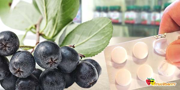 Черноплодная рябина при гипертонии