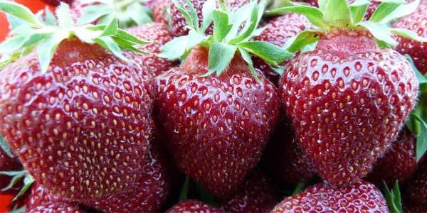 Чёрный-принц