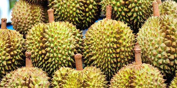 Дурианы