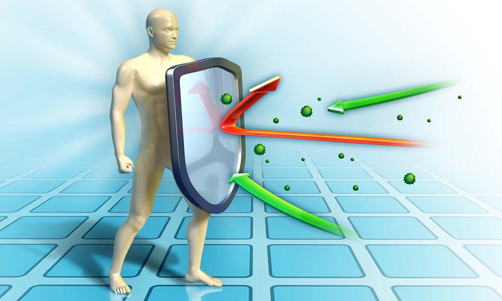 Вяленая дыня для повышения иммунитета Дыня для иммунитета