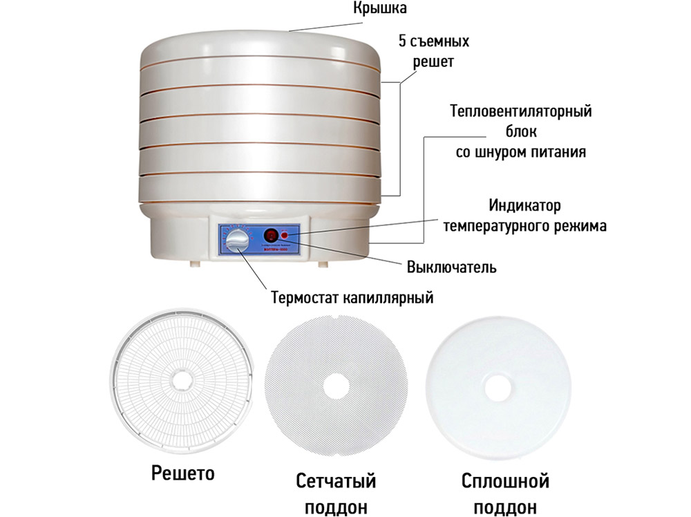 Устройство электрической сушилки Элементы электрической сушилки