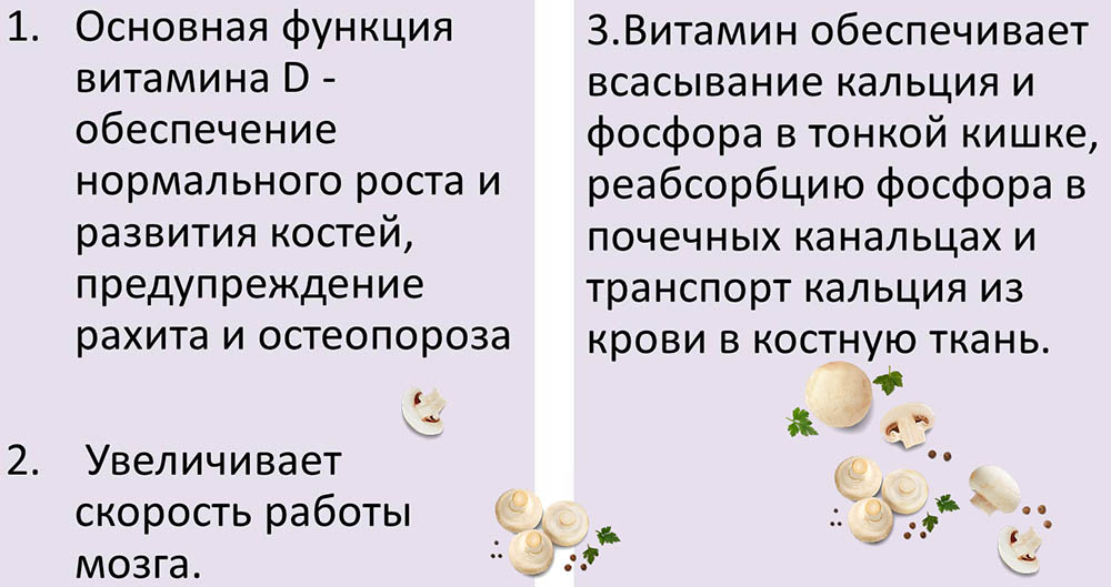 Роль витамина D в организме Функции витамина D