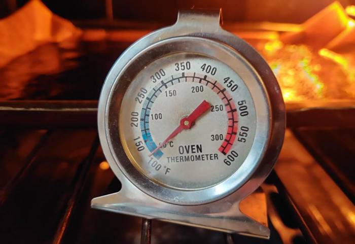 Температурный режим для приготовления пастилы Градусы в духовке