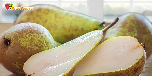 Груша-конференция