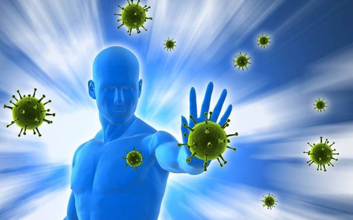 Укрепление иммунитета при употреблении сушёного хрена Хрен и иммунитет