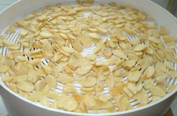 Сушка хрена в электросушилке Хрен в электросушилке