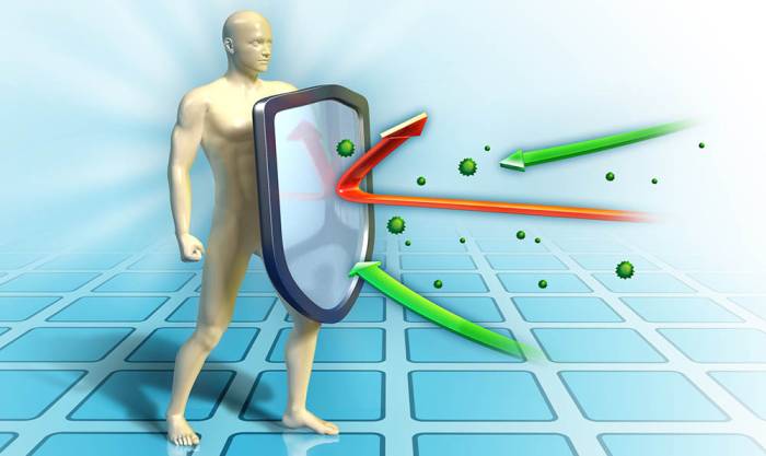 Польза сушёного лука для иммунитета Иммунитет и сушёный лук