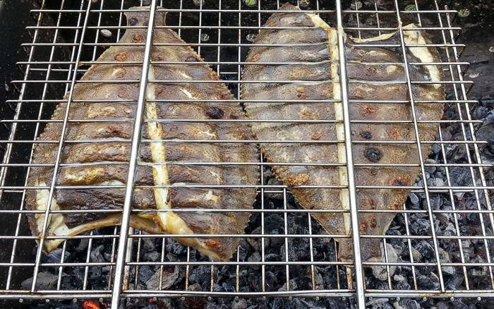 Приготовление камбалы на решётке Камбала над углями