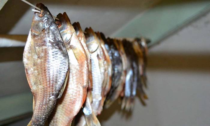 Вяление карасей на верёвке Карась на верёвке